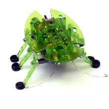 Hexbug Krab