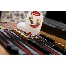 KPZ Backgammon