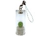 Pet Plant