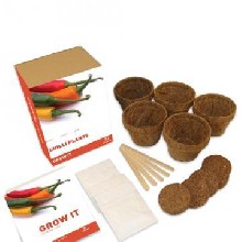 Grow it - chilli papričky