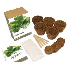 Grow it - bylinky