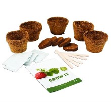 Grow it - vlastní ovoce