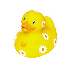 Osobní kačenka Daisy