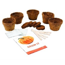 Grow it - obří dýně